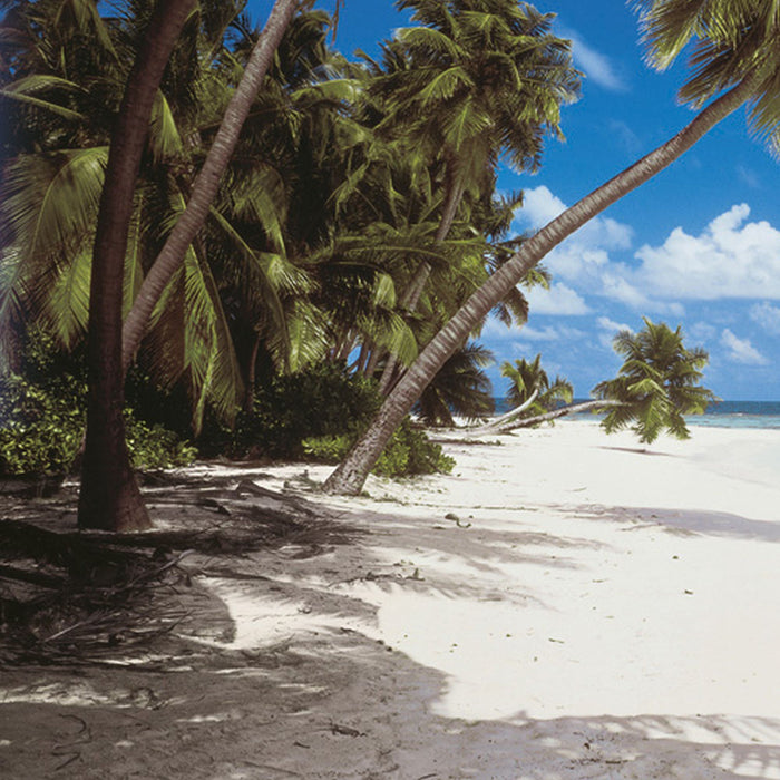 Komar | Papier Fototapete | Maldives | Größe 368 x 254 cm