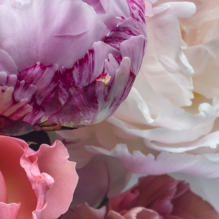 Papier Fototapete | Vibrant Spring | Größe 368 x 254 cm