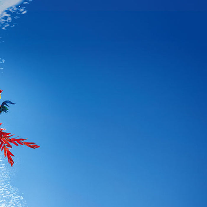 Vlies Fototapete | Moana Ride the Wave | Größe 200 x 280 cm