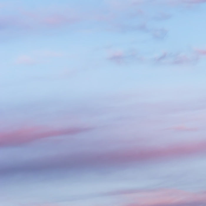 Vlies Fototapete | Purple Dinner | Größe 450 x 280 cm