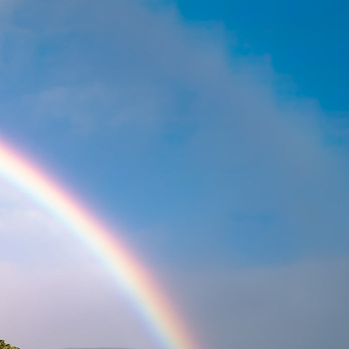 Vlies Fototapete | Coloured Faeroer | Größe 450 x 280 cm