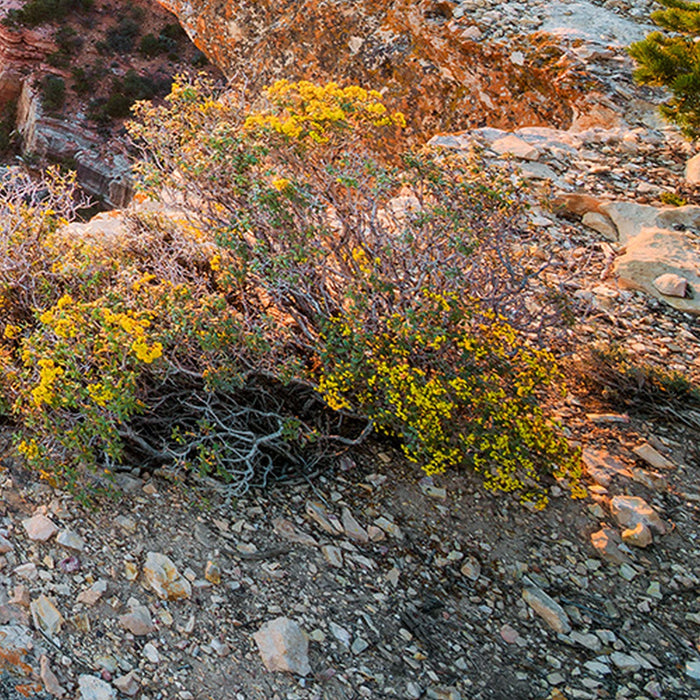 Vlies Fototapete | Imperial View | Größe 450 x 280 cm