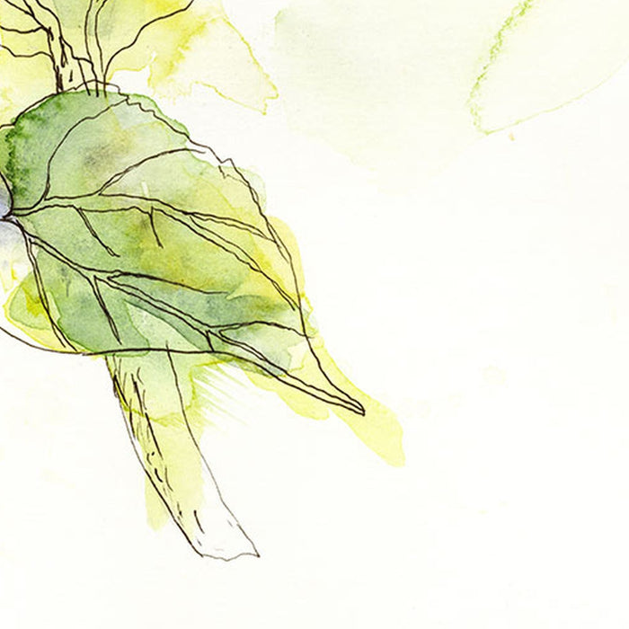 Vlies Fototapete | Girasol  | Größe 200 x 250 cm