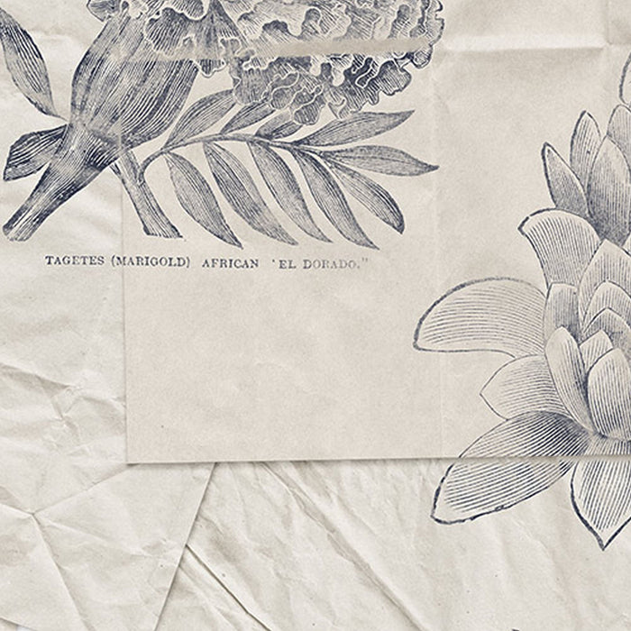 Komar | Vlies Fototapete | Botanical Papers | Größe 300 x 280 cm