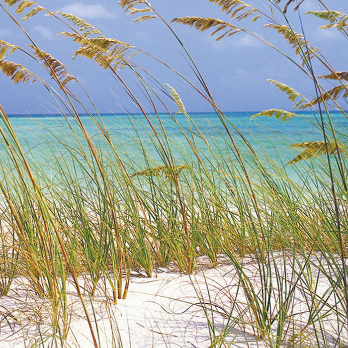 Papier Fototapete | Ocean Breeze | Größe 368 x 254 cm