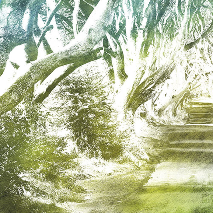 Vlies Fototapete | Alley | Größe 200 x 250 cm