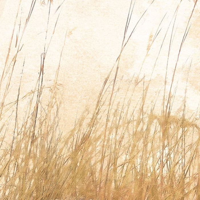 Komar | Vlies Fototapete | Dune Grass | Größe 400 x 250 cm