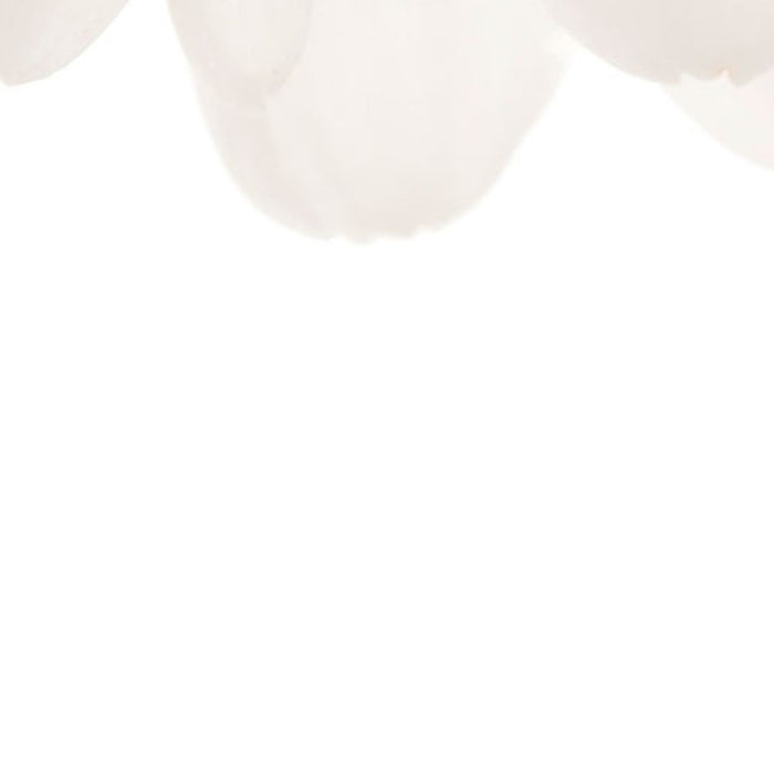 Vlies Fototapete | Beautiful | Größe 100 x 280 cm