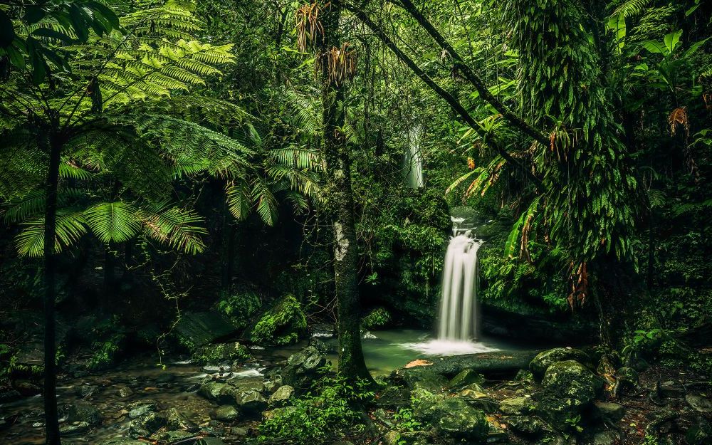 Vlies Fototapete | My Hidden Treasure | Größe 400 x 250 cm