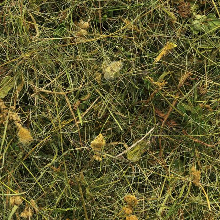 Vlies Fototapete | Bergheu | Größe 150 x 250 cm