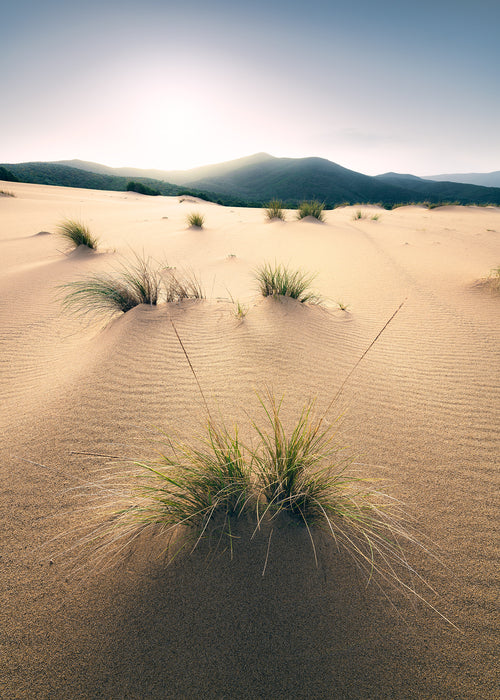 Komar | Vlies Fototapete | Vivid Dunes | Größe 200 x 280 cm