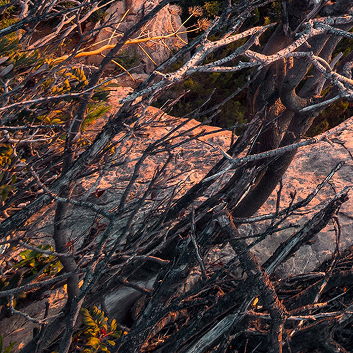 Vlies Fototapete | Colors of Sardegna | Größe 250 x 280 cm