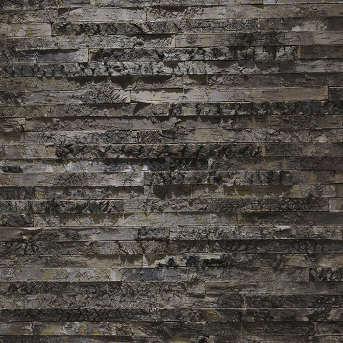 Papier Fototapete | Birkenrinde | Größe 368 x 254 cm