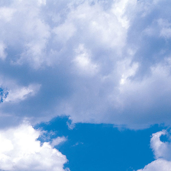 Vlies Fototapete | Meadow | Größe 100 x 280 cm