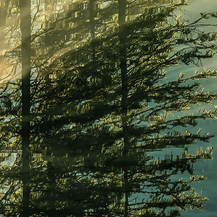 Vlies Fototapete | Indulgence of Beauty | Größe 200 x 250 cm