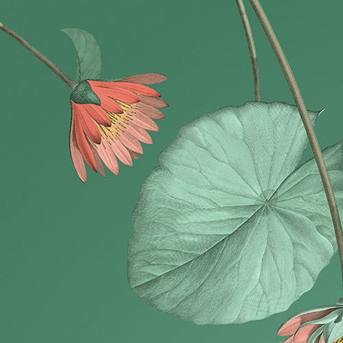 Vlies Fototapete | Blissful  | Größe 200 x 250 cm