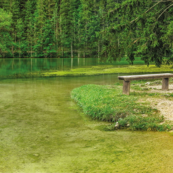 Komar | Papier Fototapete | Green Lake | Größe 368 x 127 cm