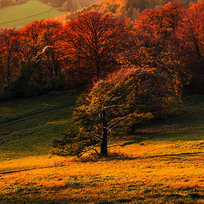 Vlies Fototapete | Fairy Tale Castle | Größe 200 x 100 cm