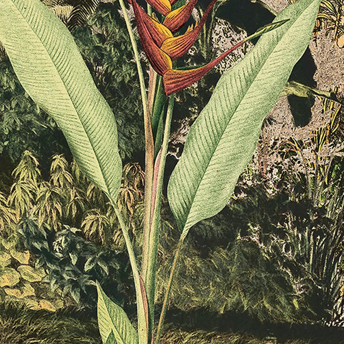 Vlies Fototapete | Oasis | Größe 350 x 250 cm