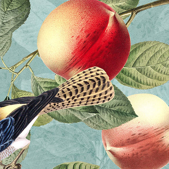 Vlies Fototapete | Birds and Berries | Größe 200 x 250 cm