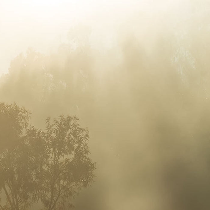 Vlies Fototapete | Misty Mountain | Größe 400 x 250 cm