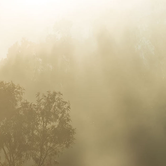 Komar | Vlies Fototapete | Misty Mountain | Größe 400 x 250 cm