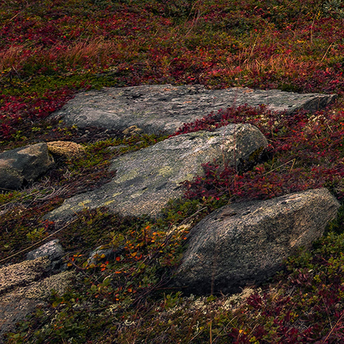 Vlies Fototapete | Schroffes Paradies | Größe 450 x 280 cm