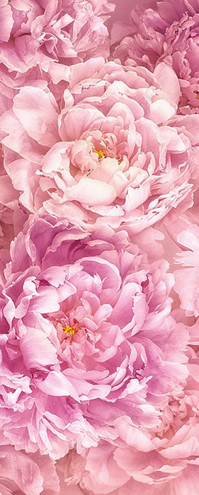 Vlies Fototapete | Soave Panel | Größe 100 x 250 cm