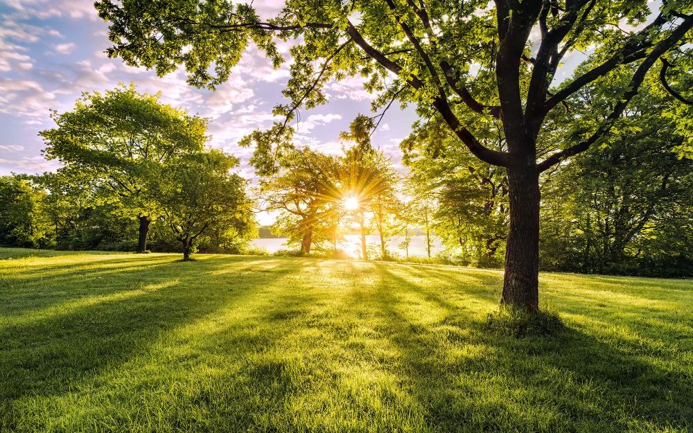 Vlies Fototapete | Golden Moment | Größe 400 x 250 cm