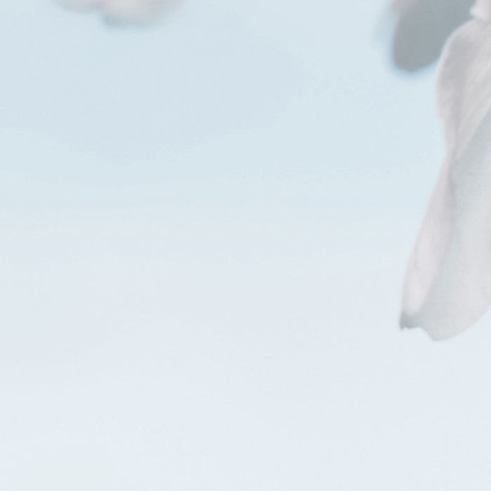 Vlies Fototapete | Blossom | Größe 184 x 248 cm