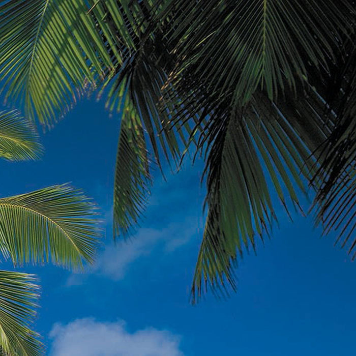 Papier Fototapete | Tropical Sea | Größe 368 x 254 cm