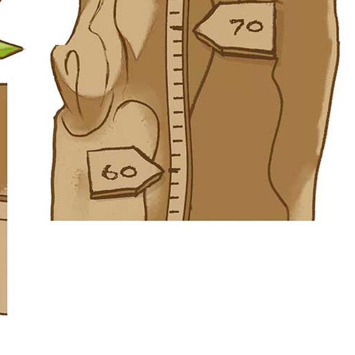 Wandtattoo | Winnie The Pooh Size | Größe 100 x 70 cm