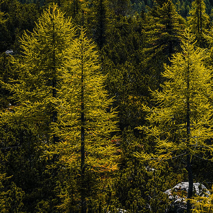 Vlies Fototapete | Wild Dolomites | Größe 200 x 100 cm
