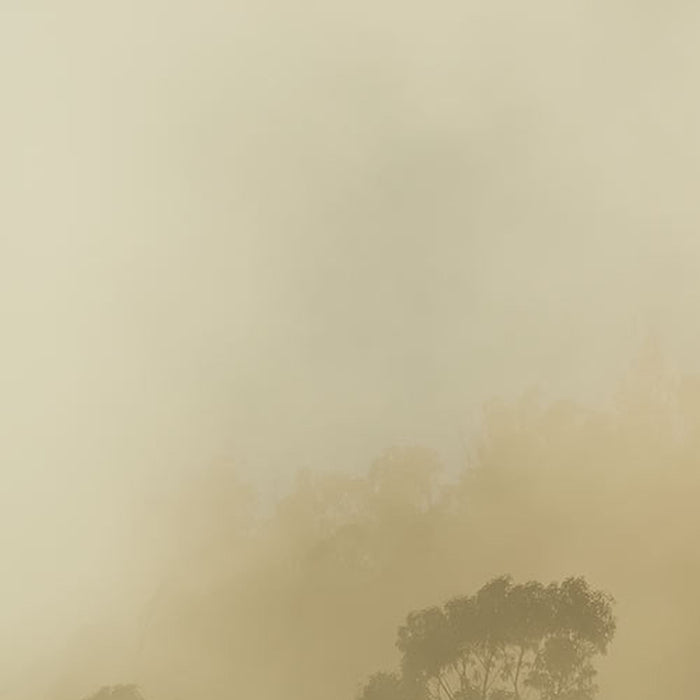 Vlies Fototapete | Misty Mountain | Größe 400 x 250 cm