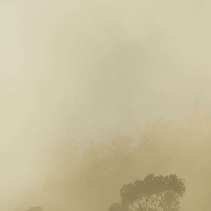 Komar | Vlies Fototapete | Misty Mountain | Größe 400 x 250 cm