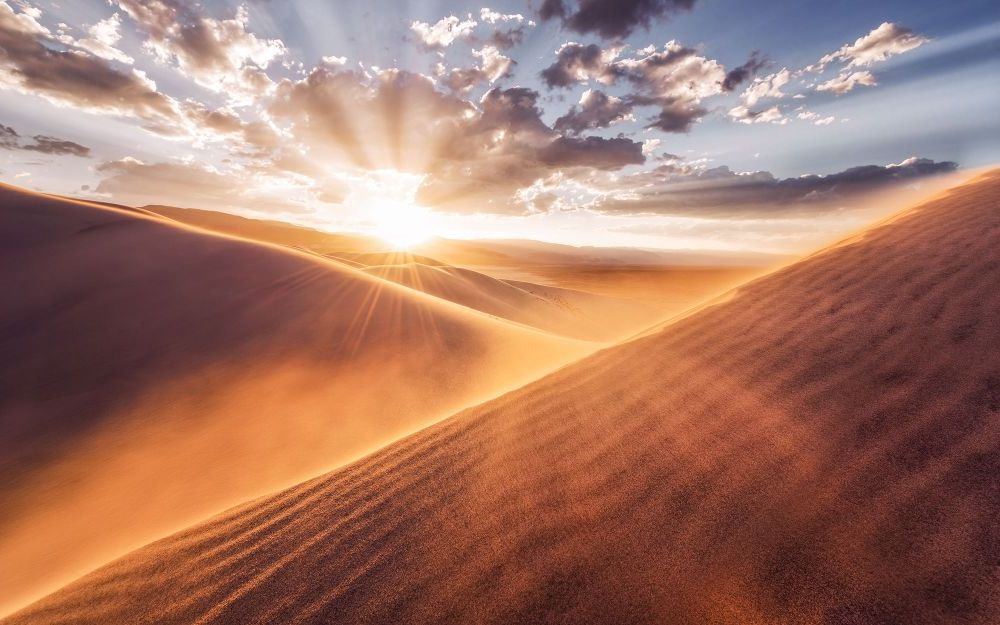 Vlies Fototapete | Gently Touched | Größe 400 x 250 cm