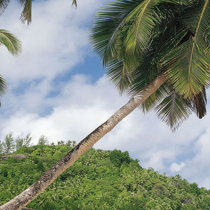 Papier Fototapete | Tropical Sea | Größe 368 x 254 cm