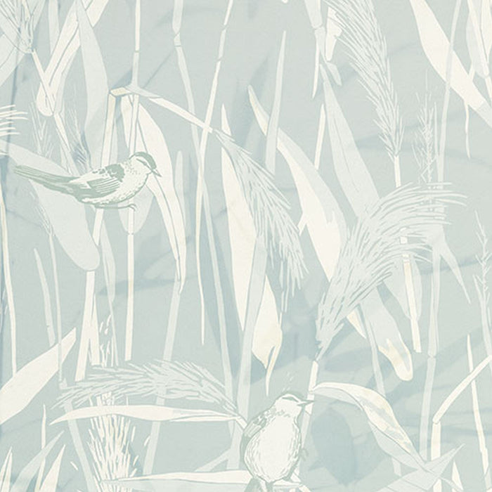 Vlies Fototapete | Reed  | Größe 300 x 250 cm