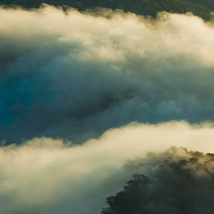 Vlies Fototapete | Pangea | Größe 450 x 280 cm