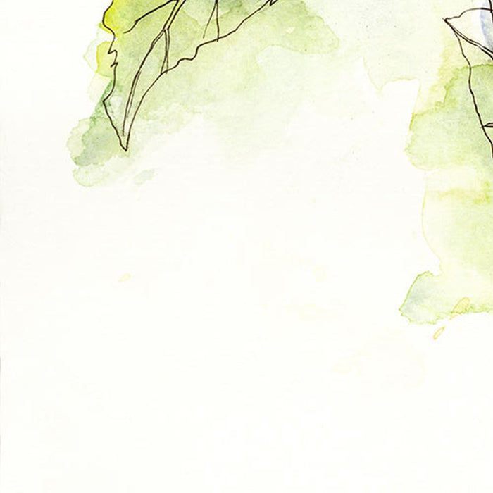 Vlies Fototapete | Girasol  | Größe 200 x 250 cm