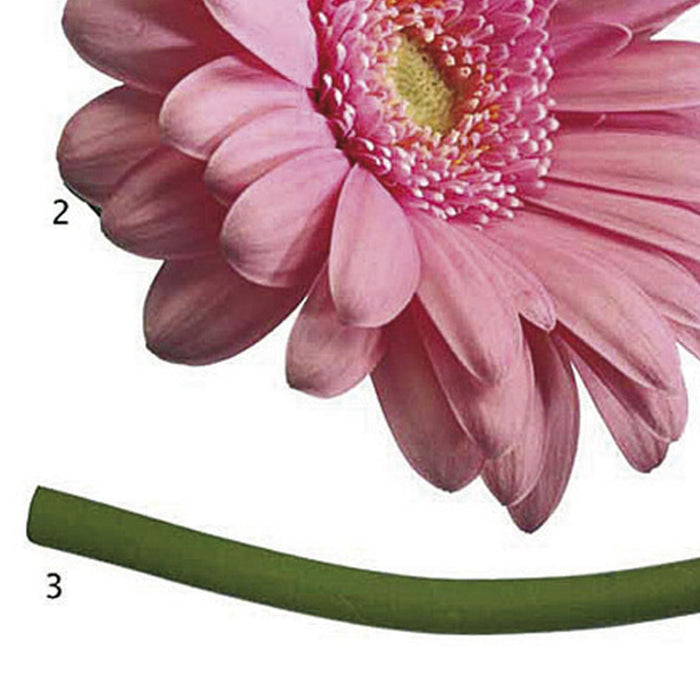 Wandtattoo | Fiore | Größe 50 x 70 cm