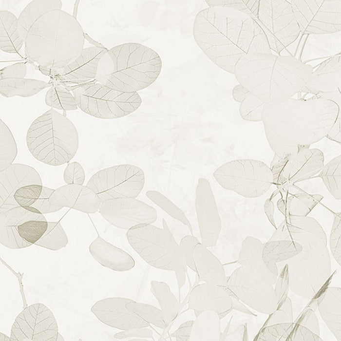 Vlies Fototapete | Sheer Grey | Größe 400 x 250 cm