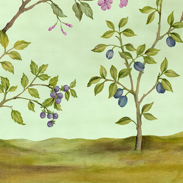 Vlies Fototapete | Oiseaux du Paradis | Größe 350 x 250 cm