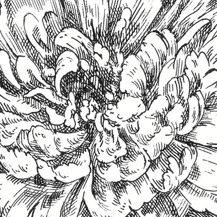 Vlies Fototapete | Flowerbed  | Größe 300 x 250 cm