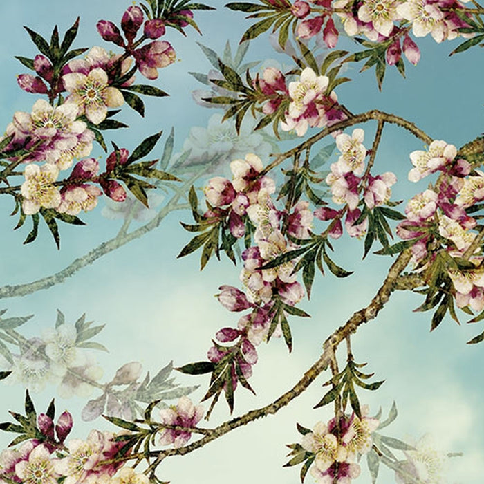 Komar | Papier Fototapete | Sakura | Größe 368 x 254 cm
