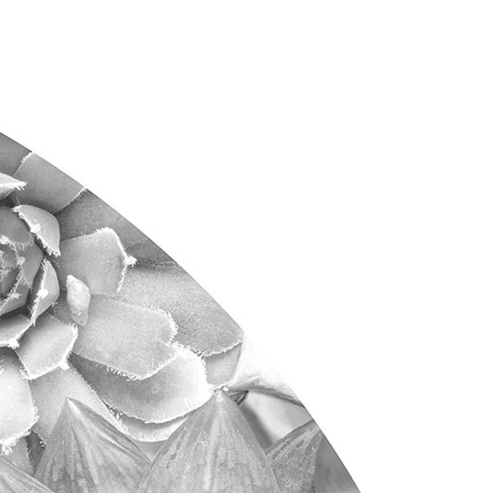 Selbstklebende Vlies Fototapete/Wandtattoo | Echeveria | Größe 125 x 125 cm