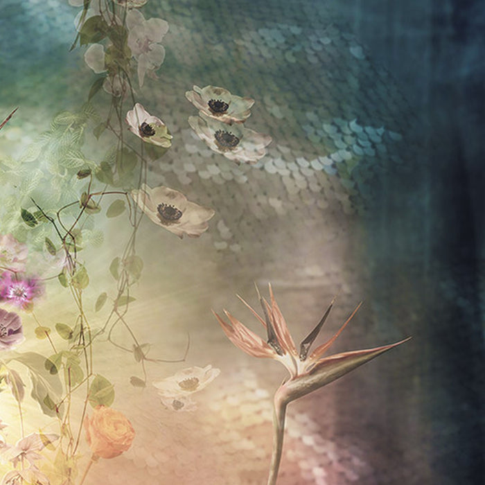 Vlies Fototapete | Enlightenment | Größe 200 x 250 cm