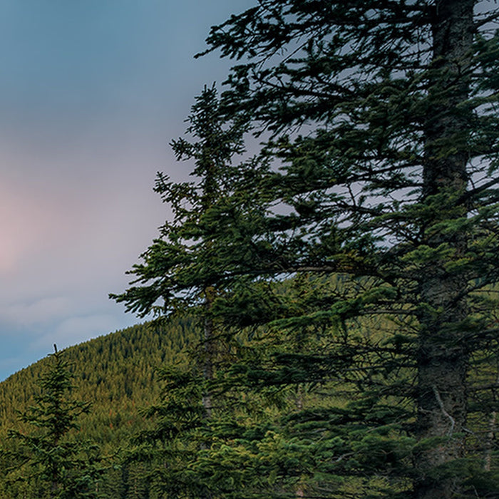 Vlies Fototapete | Magic Moraine Morning | Größe 450 x 280 cm