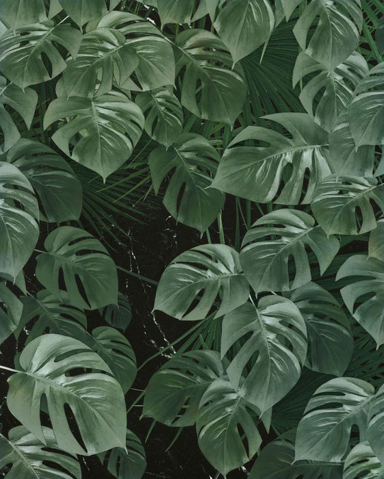 Vlies Fototapete | Monstera on Marble | Größe 200 x 250 cm
