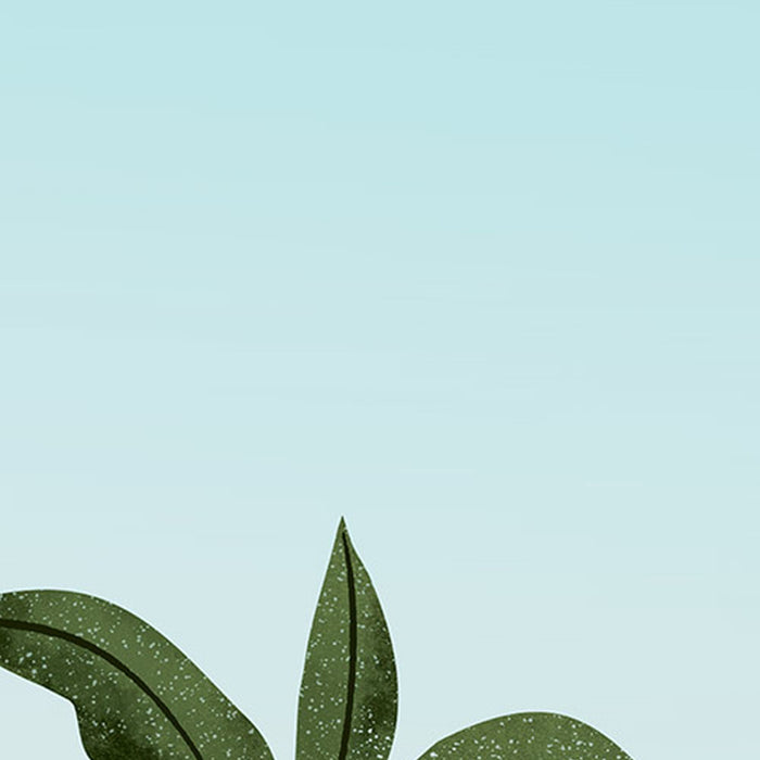 Komar | Vlies Fototapete | Jungle Book | Größe 300 x 280 cm